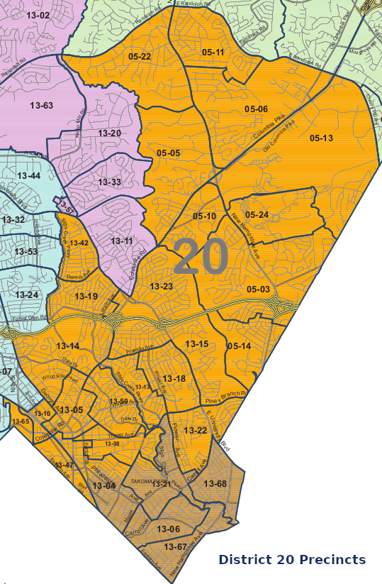 D20 Precincts